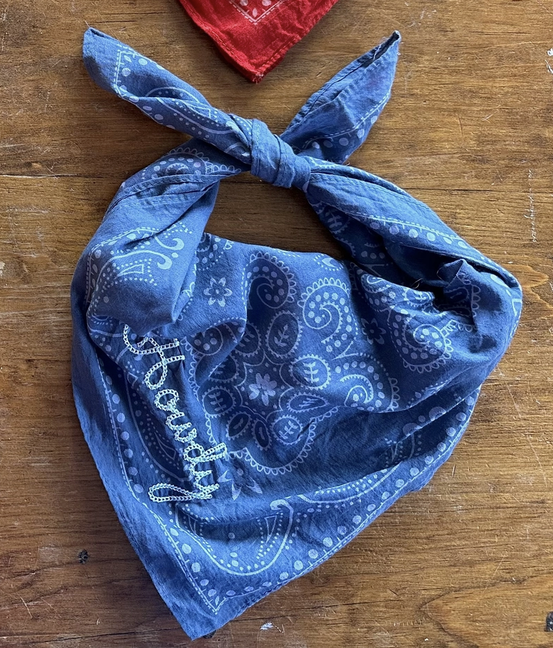 Casady Cylones Chainstitch Bandana